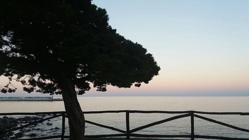 Il Nuovo Gabbiano 3*